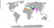Actual world6