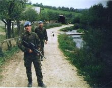 Irish Troops in Northern Ireland