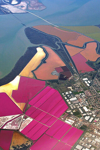 File:Salt ponds SF Bay.jpg