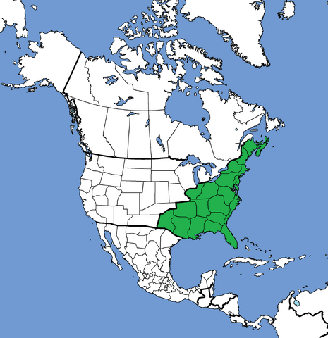 File:Ticf-upimap2.png
