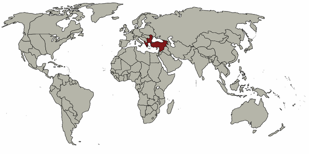 File:Smallpox Turkey.png