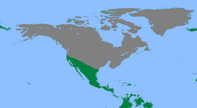 Modern North Tranare