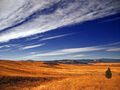 Thumbnail for version as of 05:19, December 8, 2011