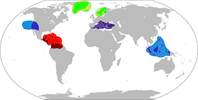File:LCTurnext.png