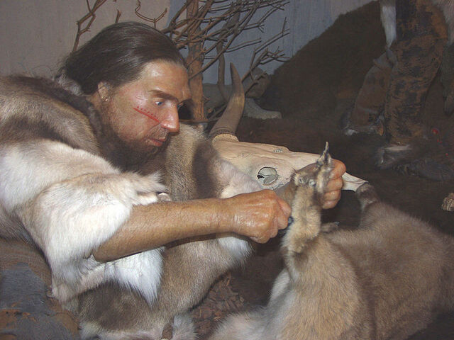 File:NeanderthalImage.jpg