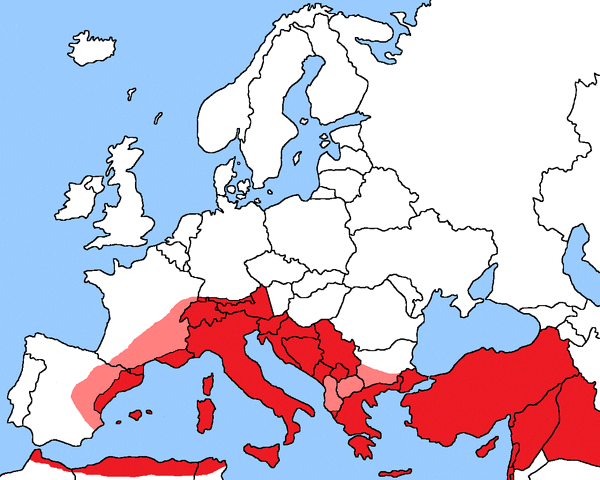 File:Second Roman Map.gif