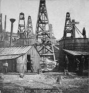 Oil