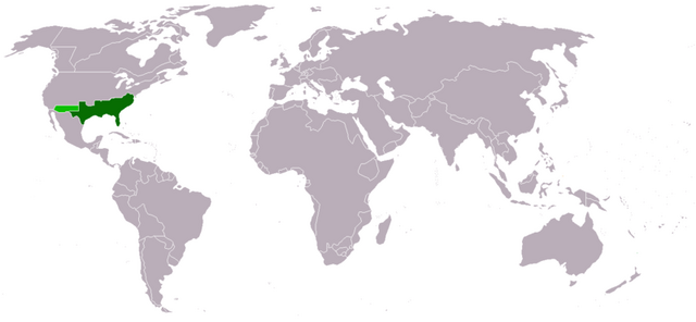 File:ELT200711121936203268875-1-.png