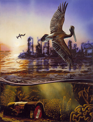 File:5 pelican.jpg