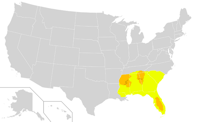 File:Florida TE.png