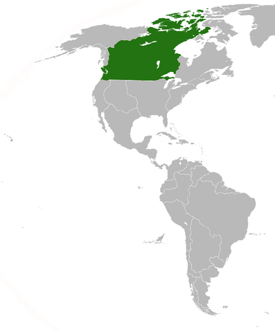 File:SV-NewAlbionMap.png