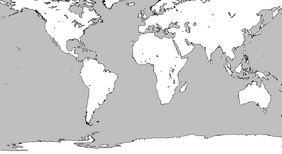 Italia location