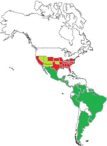 File:Americas (2).gif