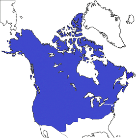 USACANLoc.png.gif