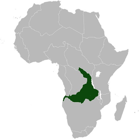 File:EastKongo Africa NW.png
