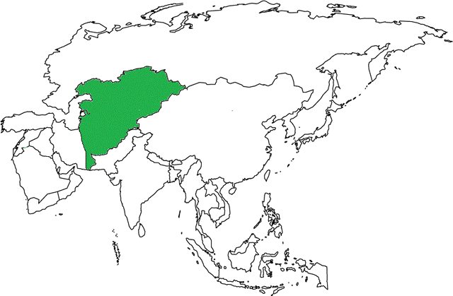 File:Blank-map-of-asia.gif