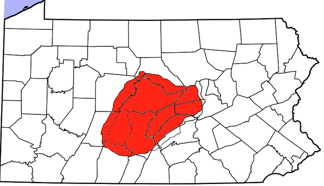 File:FirstStateCollege.png