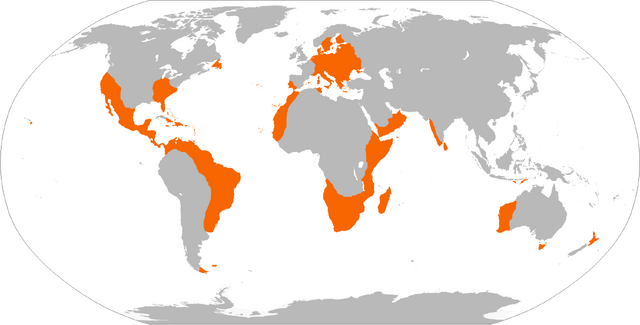 File:XCbsHhx.png