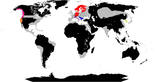 File:Jkhgfdhg3.png