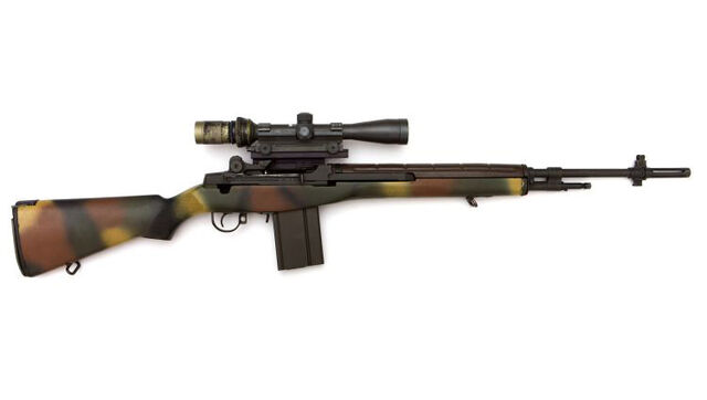 File:M21 DMR.jpg