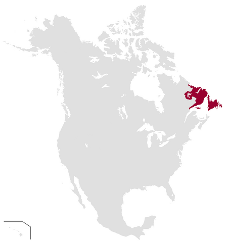 File:NNA1200.png