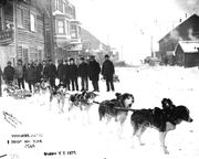 Klondike gold rush-sled team