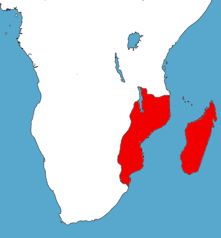 File:The Satavahana L'.png