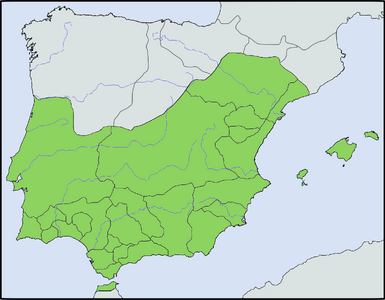 Wandalus