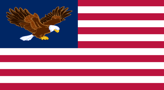 File:Us freedom flag.png