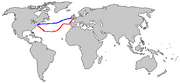 Outline-gray-white-blank-world-map-b9b