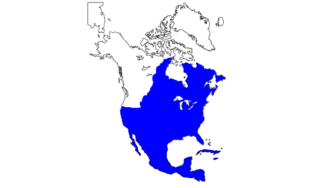 File:13517664843742.png
