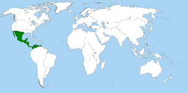 File:Egypt 1 copy 3.png
