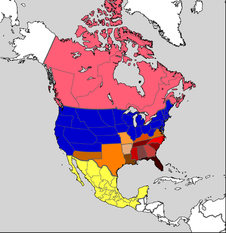 File:SoA 5 18605.png