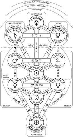 File:Tree of Life.gif