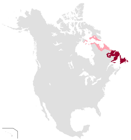 File:NNA1150.png