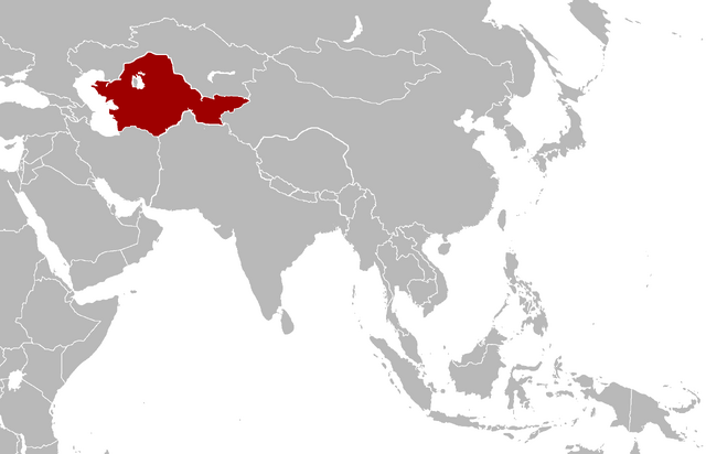 File:KofBukhara.png