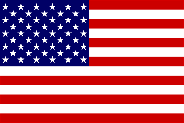 Plik:USA.gif