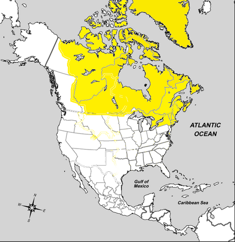 File:TATMVINLANDMAP2.png