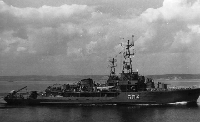 File:T43 class minesweeper.jpg