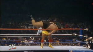 HoganBodySlam