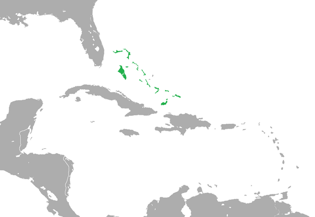 File:CNA bahamas.png