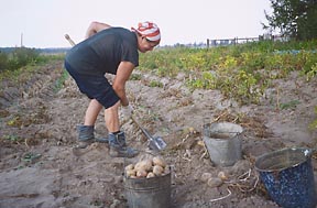 File:Russia farm-1-.jpg