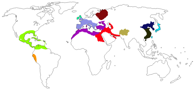File:Ctg2.png