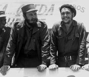 Che-and-fidel-che-guevara-19053671-500-430