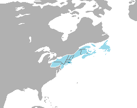 File:Rhode Island.png