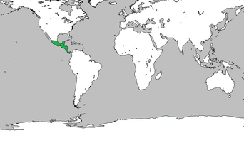 Mexico location