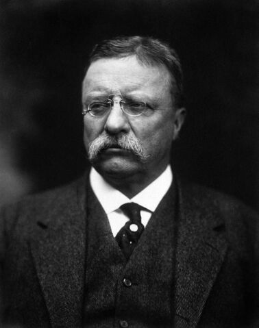 File:T Roosevelt.jpg