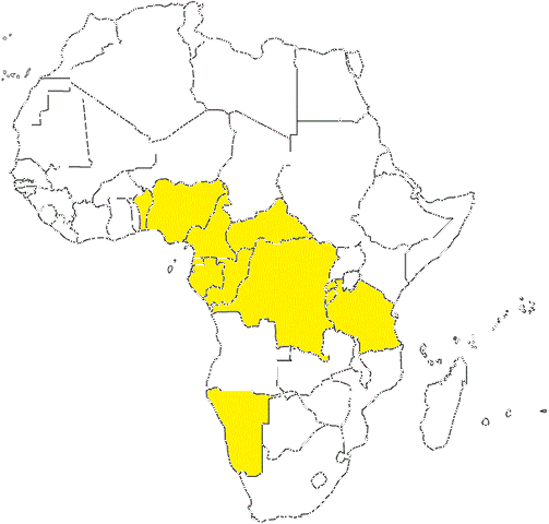 File:Afoutl.gif