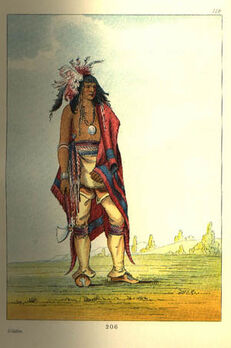 Chief Abukcheech