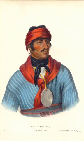 File:Selocta.jpg